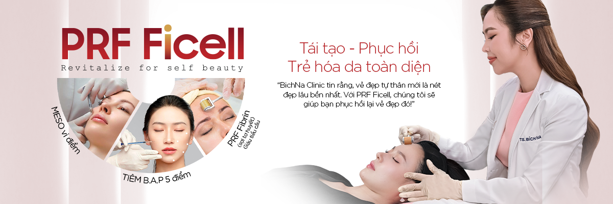 banner-prf-web